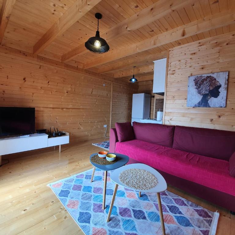Ivana Houses Ada Bojana - One-Bedroom Apartment - 26