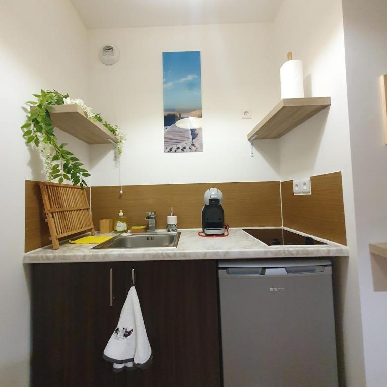 L'îlot du Val d'Europe à 2 minutes du RER et à 5 minutes de Disneyland - Appartement 1 Chambre - 24