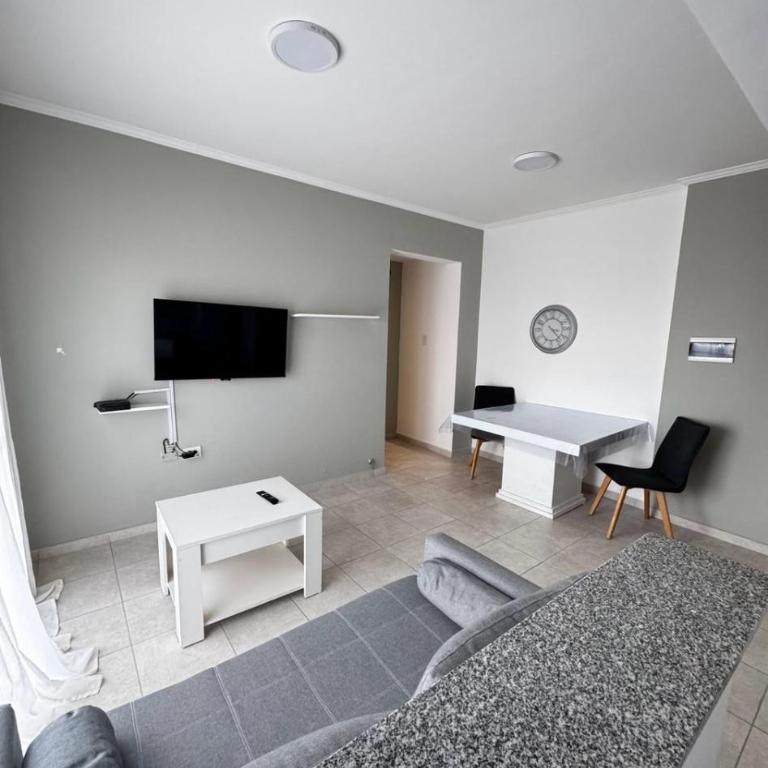 Departamento zafiro con cochera a 100mts del Shopping y el Puerto - Apartamento de 1 dormitorio - 3