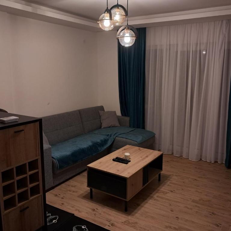 Apartmani Divcibarska oaza - Apartment - 8