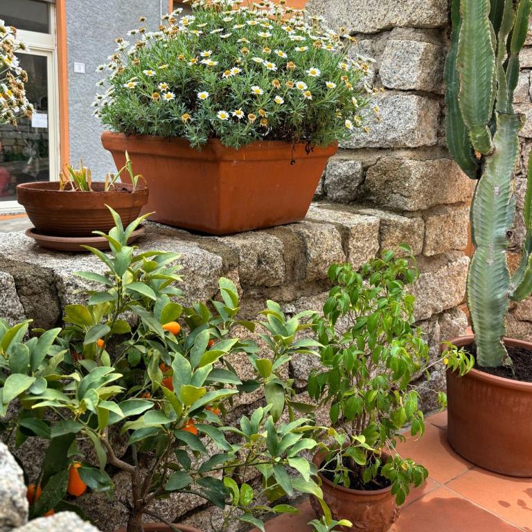 Casa Fiorella - Vista Mare - Appartamento con 1 Camera da Letto - 23
