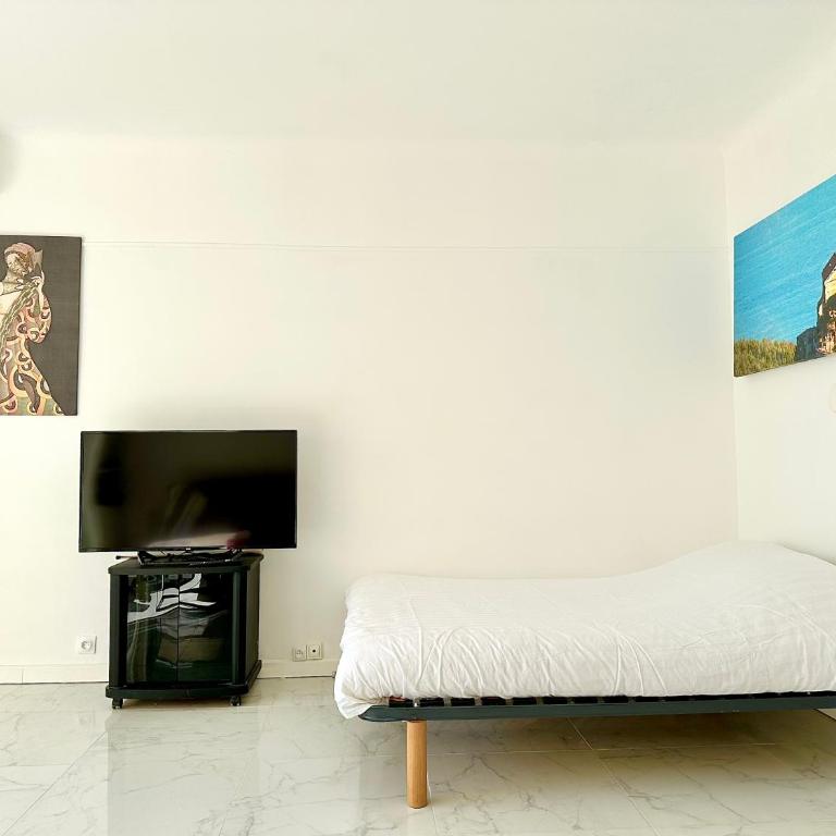 Alexendre 3 Elégant Studio Centre Cannes proche Palais des festivals - Appartement 1 Chambre - 13