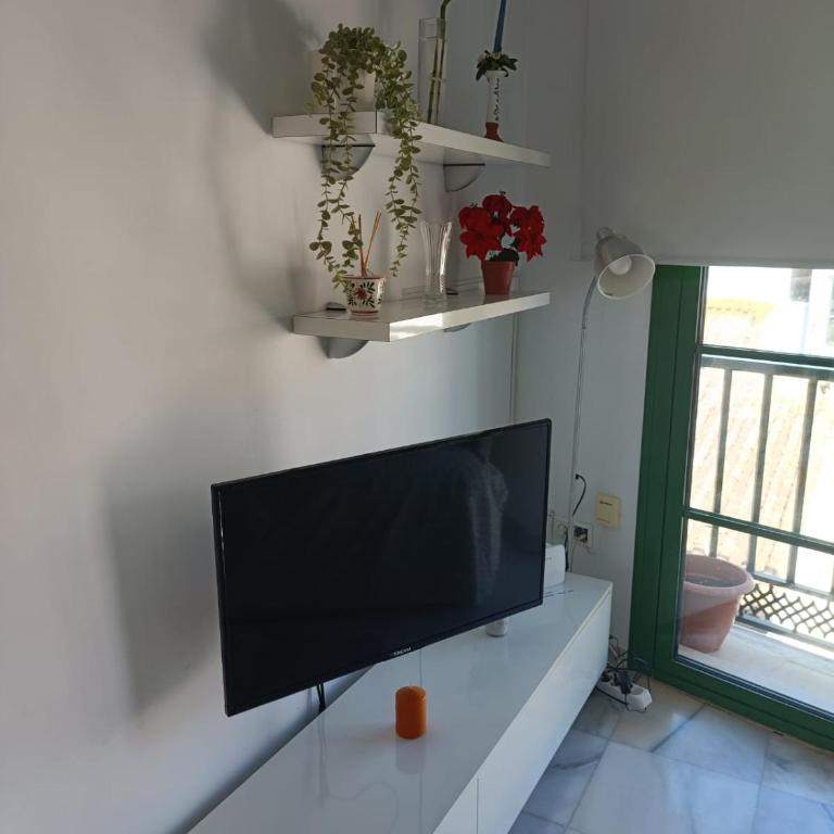 APARTAMENTO ALASKA CENTRO ROSaLEDA - Apartamento de 1 dormitorio - 9