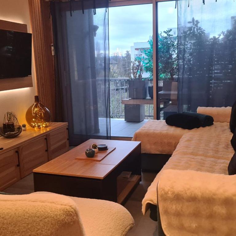Magnifique Apt à deux pas du lac et près du centre - One-Bedroom Apartment - 49