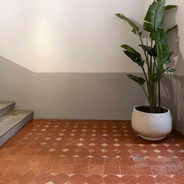 Thomas Price Appart - Appartement 1 Chambre - 31
