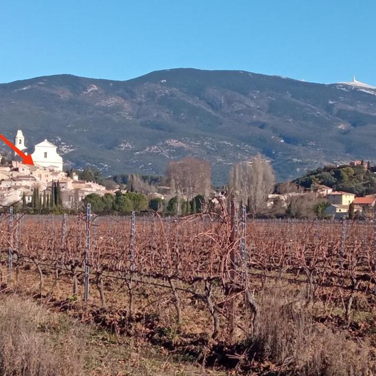 Le logis du Ventoux - Haus mit 1 Schlafzimmer - 23