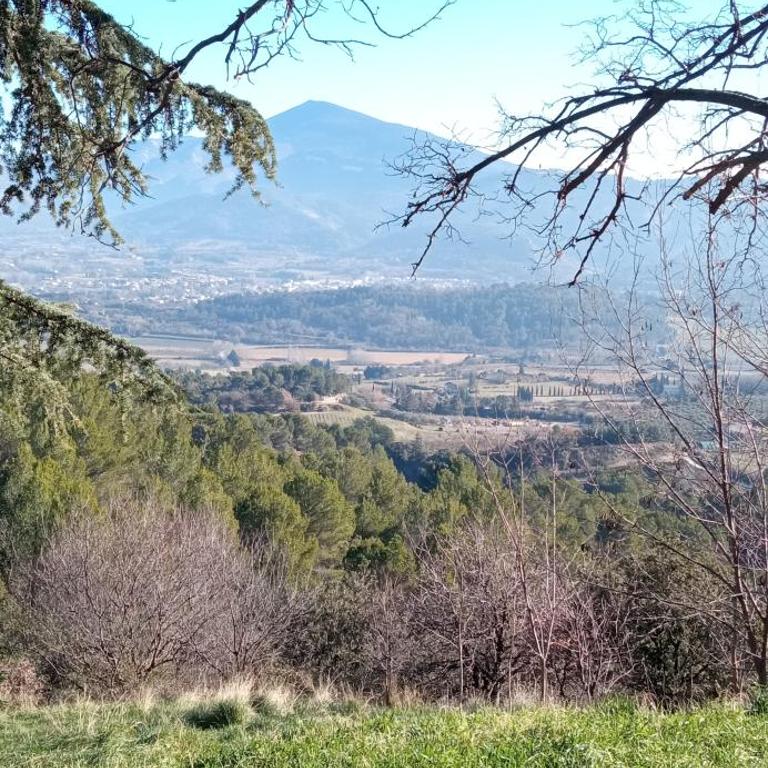 Le logis du Ventoux - Haus mit 1 Schlafzimmer - 25