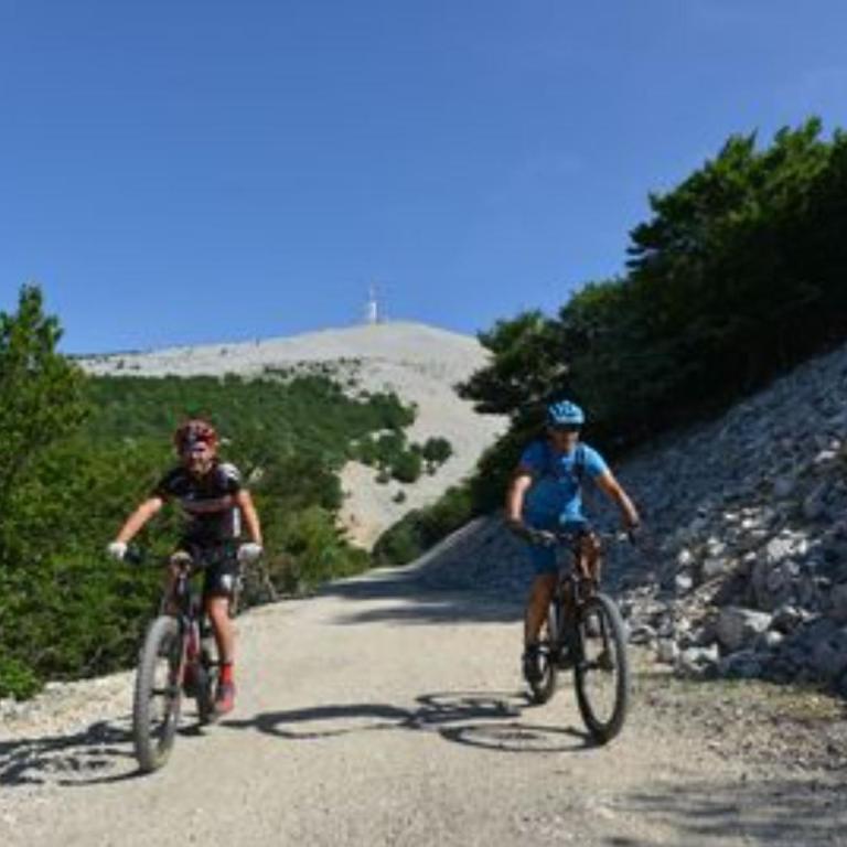 Le logis du Ventoux - Haus mit 1 Schlafzimmer - 26