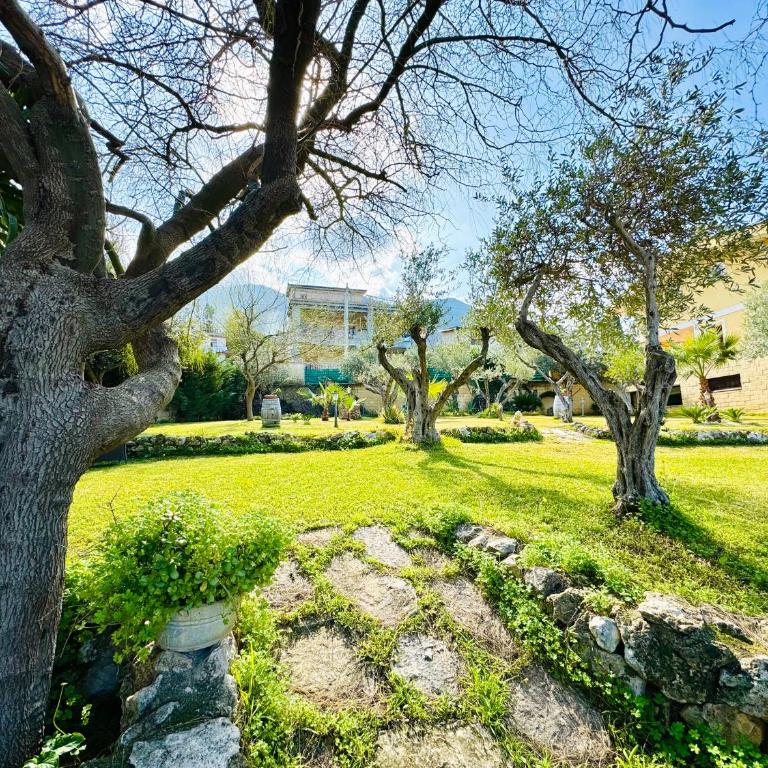Villa Bellavista - Villa - 61