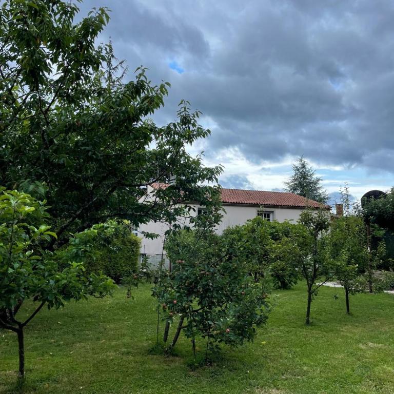 La Fincurri del Nando - Casa de 2 dormitorios - 19