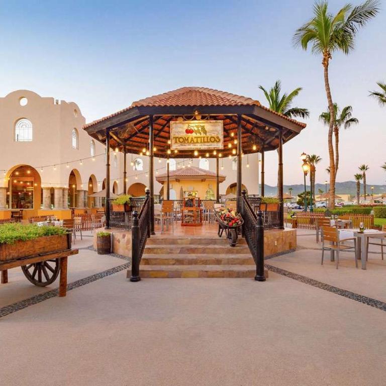 2BD Oceanview Villa Del Palmar Cabo - Villa - 61