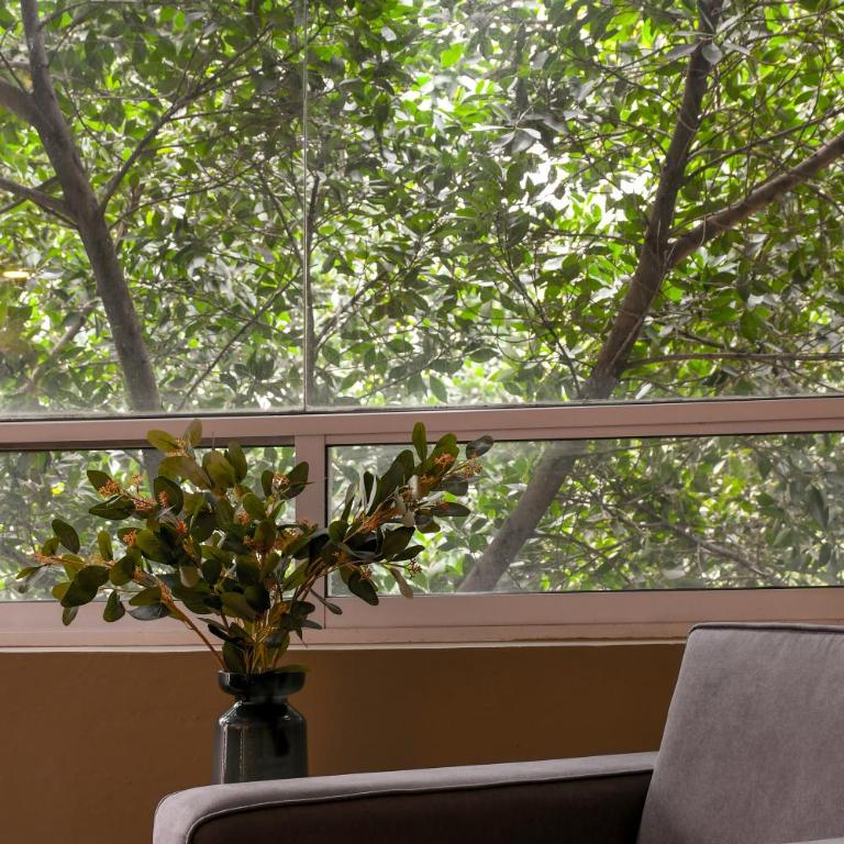 Tlacotalpan by MrW - Three-Bedroom Apartment - 29