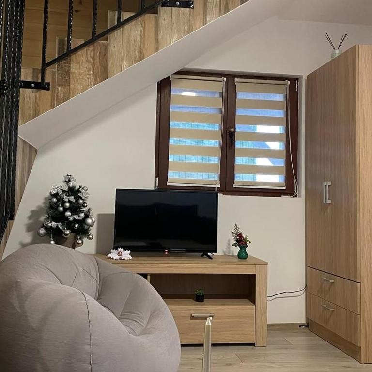 Apartman Sofiana - Apartman sa 1 Spavaćom Sobom - 31