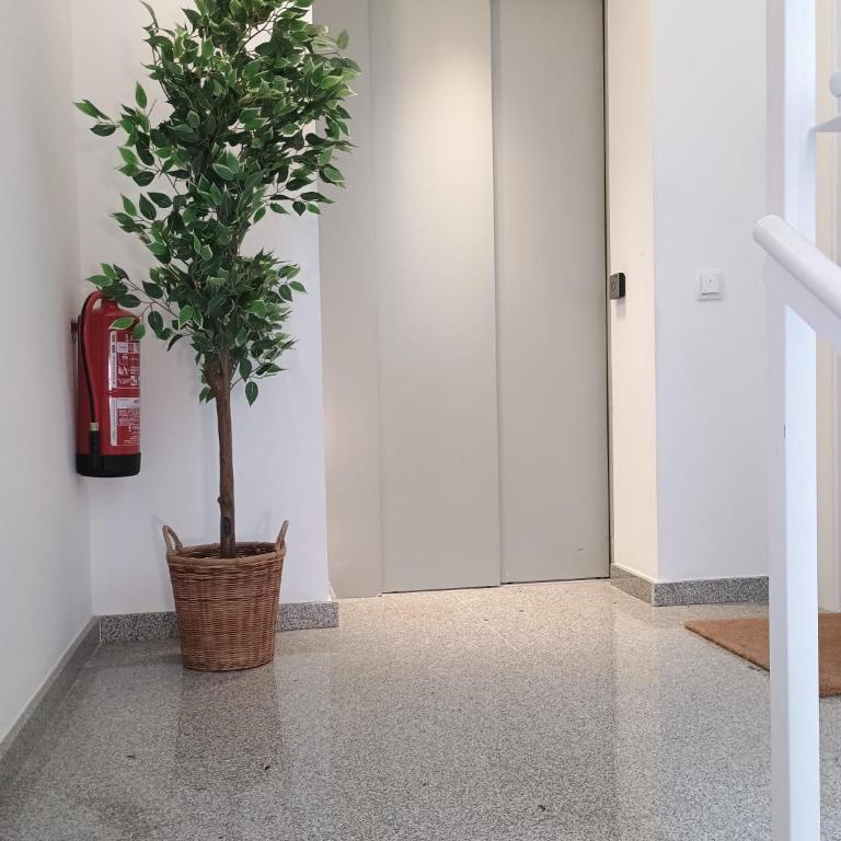 StayCampNou Studio with Balcony - Apartamento de 1 dormitorio - 3