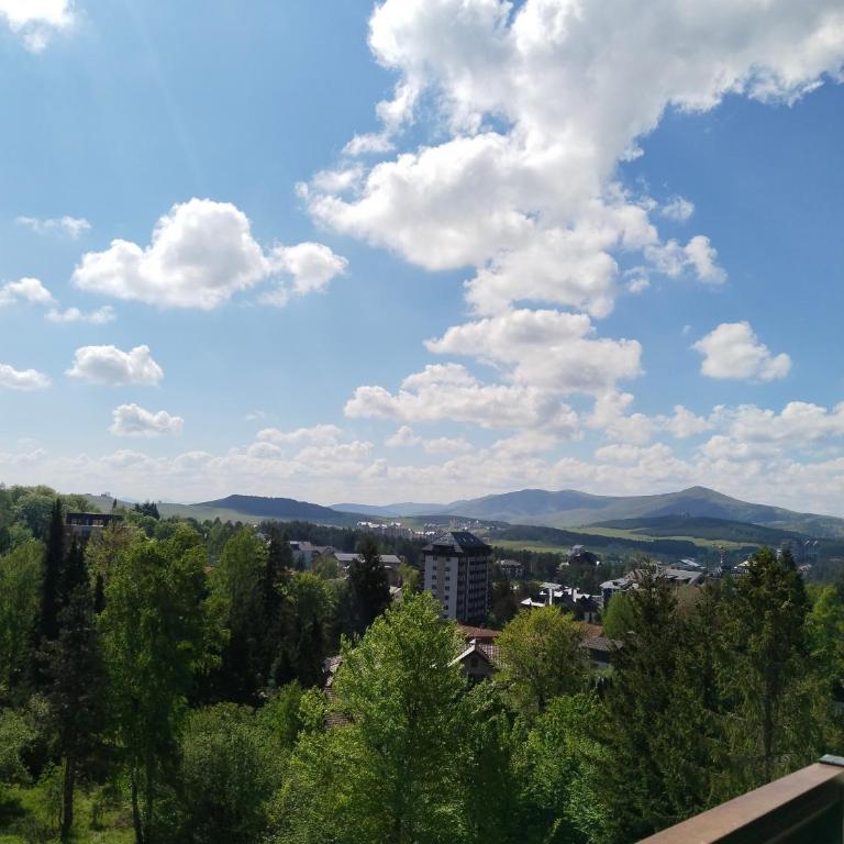 Višnjica Zlatibor - Apartman sa 1 Spavaćom Sobom - 31
