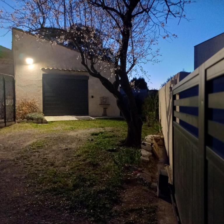 Les Jasmins - Appartement 1 Chambre - 7