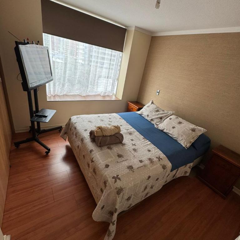 Departamento 3 dormitorios centro Temuco - One-Bedroom Apartment - 6