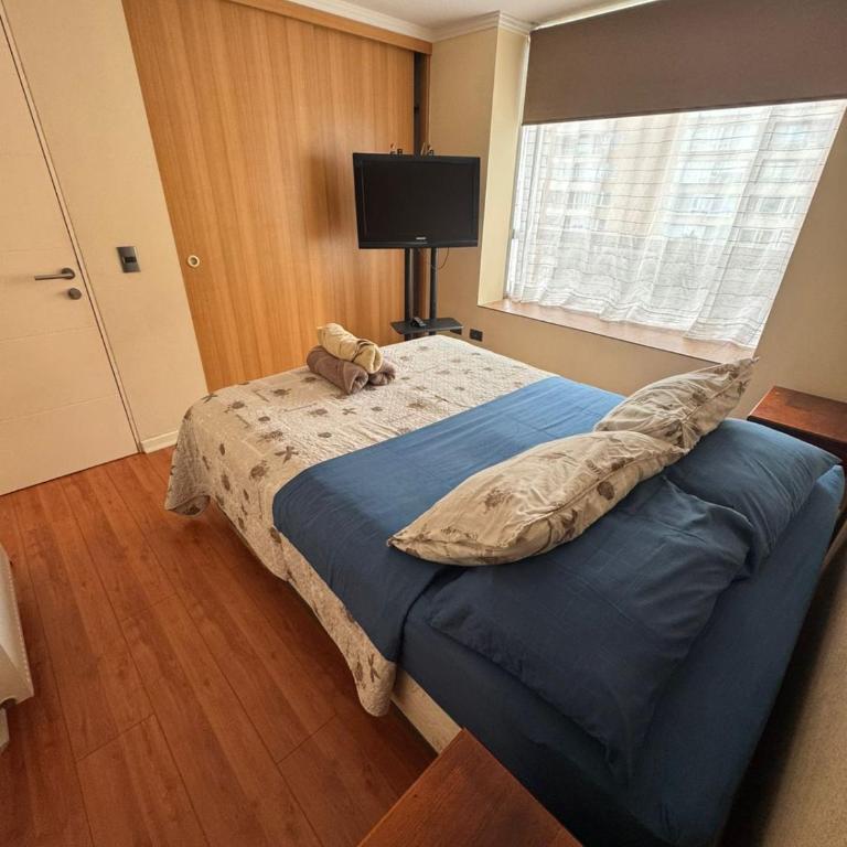 Departamento 3 dormitorios centro Temuco - One-Bedroom Apartment - 7