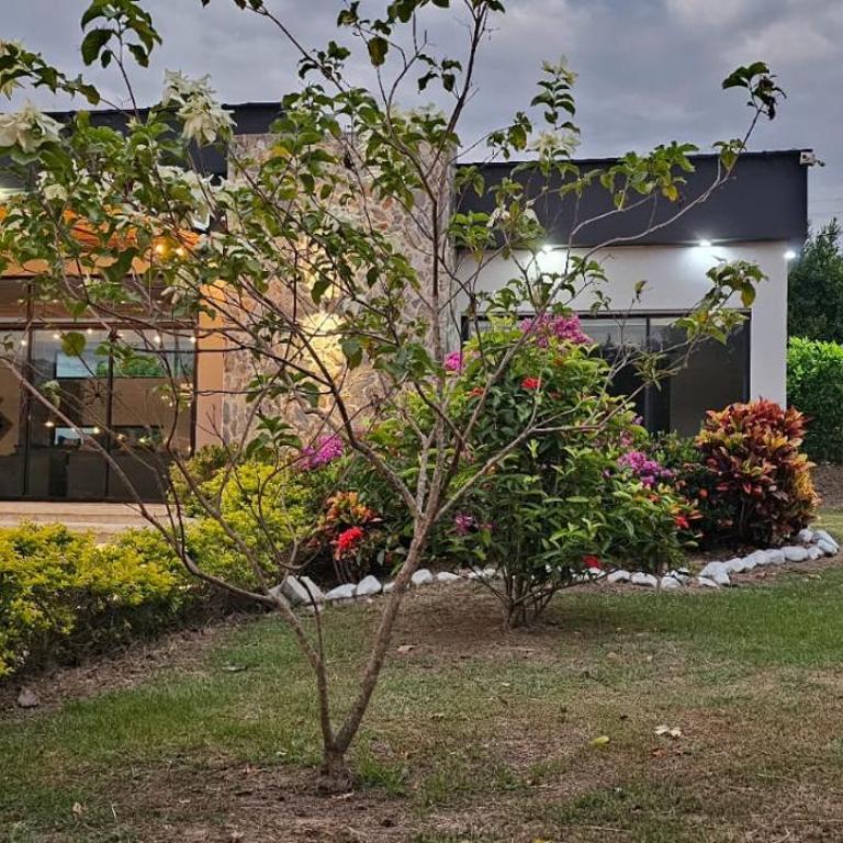 Luxury Estate with Private Pool & Jacuzzi - Villa - 18