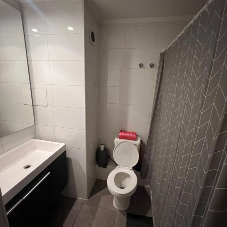 Departamento San Miguel, 2 personas - One-Bedroom Apartment - 3