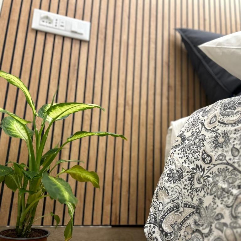 La Vetere House - One-Bedroom Apartment - 7