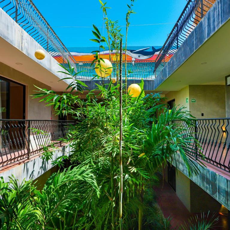 Calea Tulum Boutique Hotel - Estudio con terraza - 13