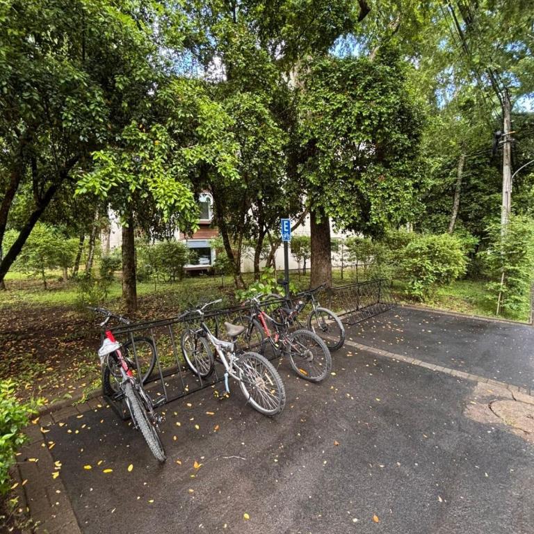 Departamento Pucon Andino - Three-Bedroom Apartment - 19