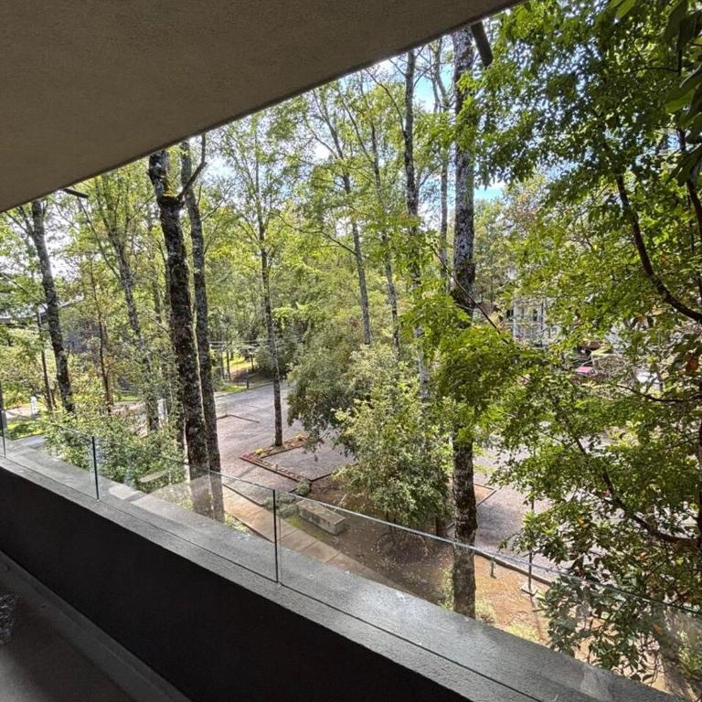 Departamento Pucon Andino - Three-Bedroom Apartment - 22