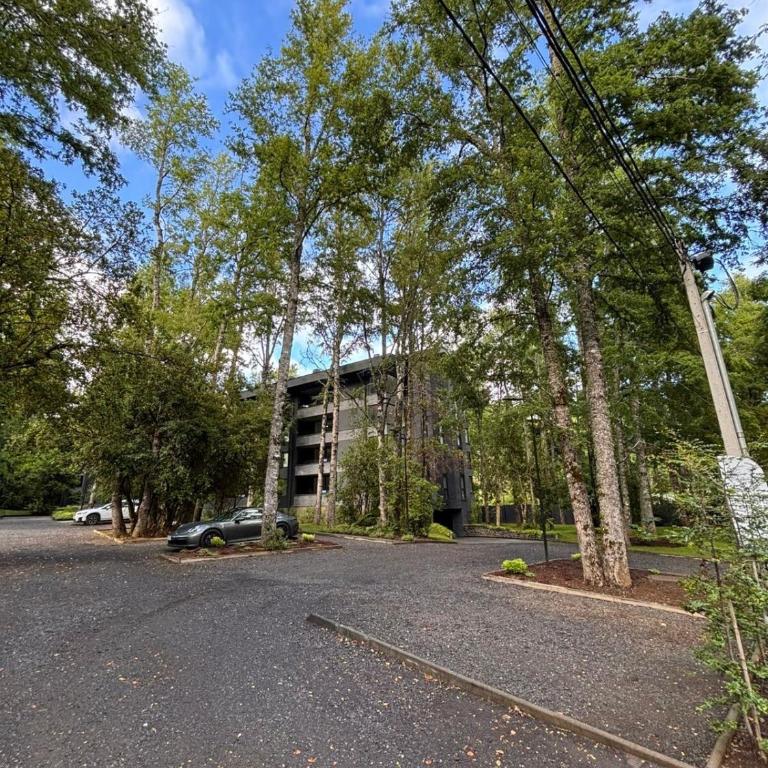 Departamento Pucon Andino - Three-Bedroom Apartment - 27