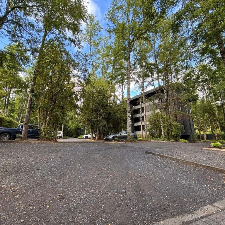 Departamento Pucon Andino - Three-Bedroom Apartment - 49