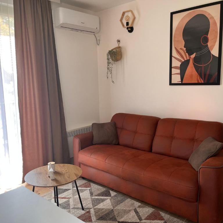 Pino Divčibare - Apartman sa 1 Spavaćom Sobom - 7