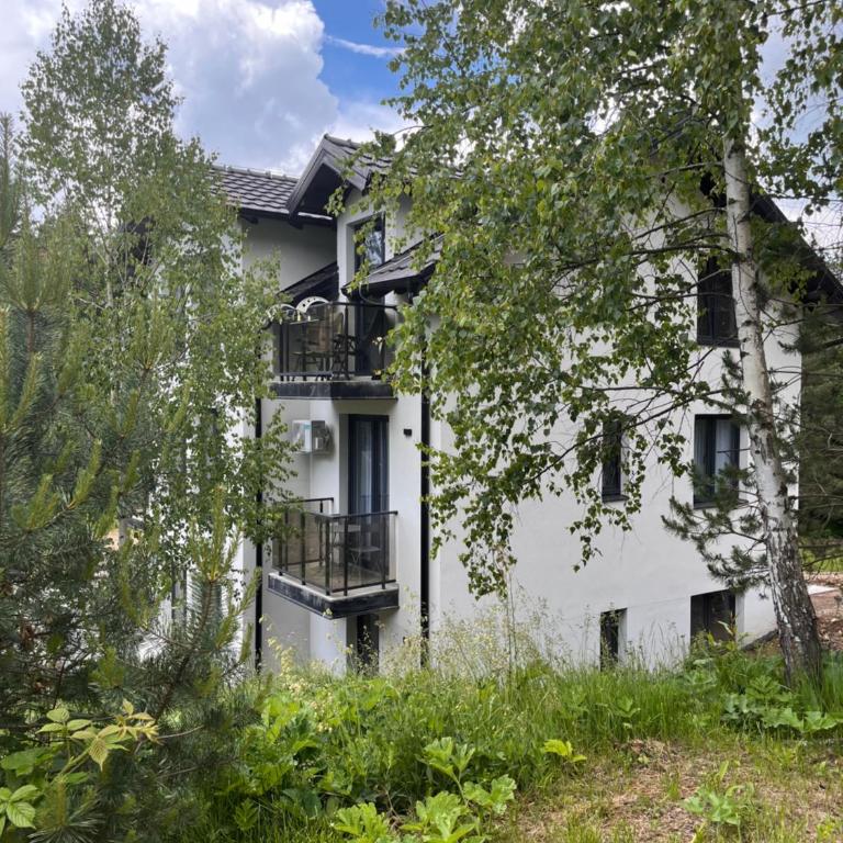 Pino Divčibare - Apartman sa 1 Spavaćom Sobom - 17