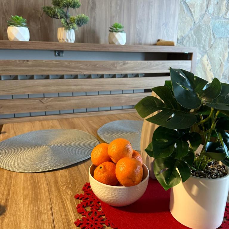 ZLATIBORSKO JEZERO 3 Lux@Spa - Apartman sa 1 Spavaćom Sobom - 4