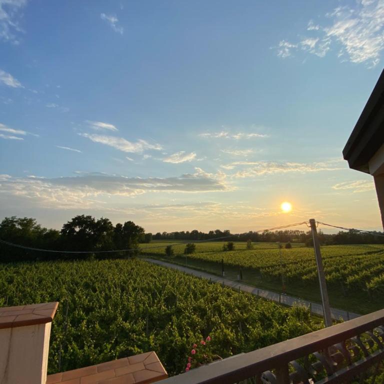 Casa Luigi - appartamenti a Peschiera del Garda - Appartamento con Terrazza - 7