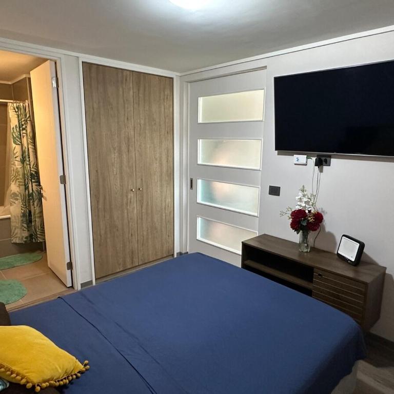 Departamento en La Florida - Apartamento de 1 dormitorio - 17