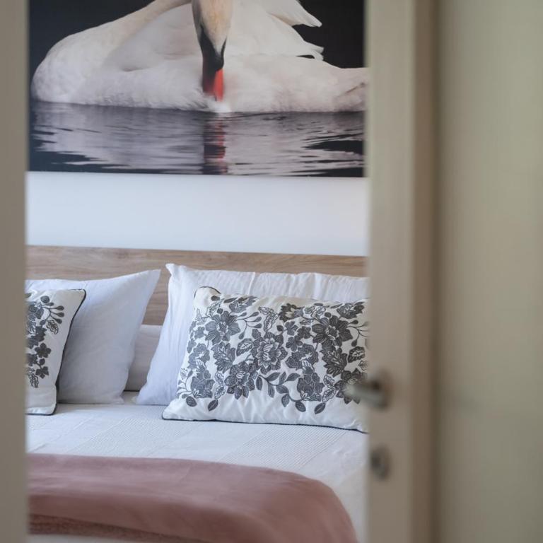 Family house - Appartamento - 5