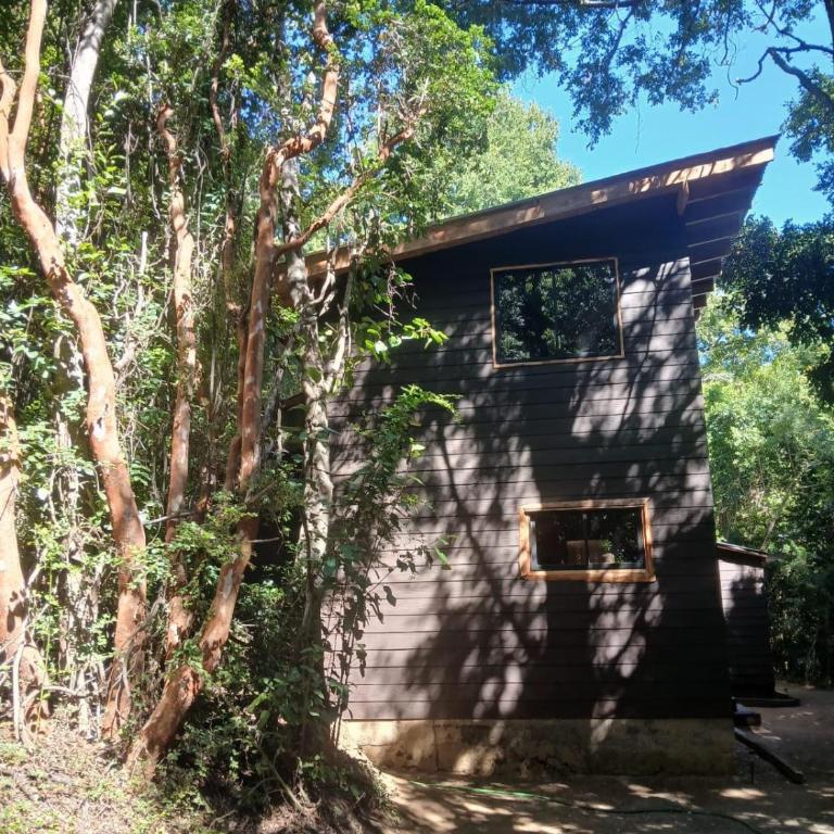 Casa Bosque Los Calabozos - Four-Bedroom House - 18