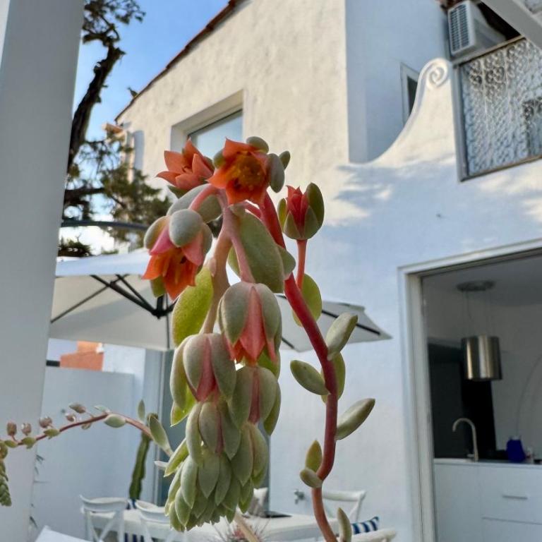 Casa Blu Marbella - Casa de 4 dormitorios - 48
