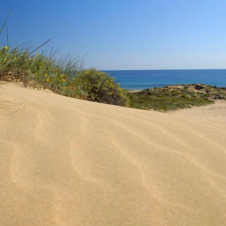 Apartamento en Arenales del Sol con terraza y vistas al mar - Three-Bedroom Apartment - 12