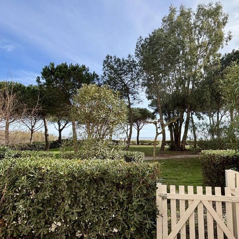 Studio cabine 4 couchages ARGELES SUR MER AR600-005 - Appartement - Rez-de-Chaussée - 2