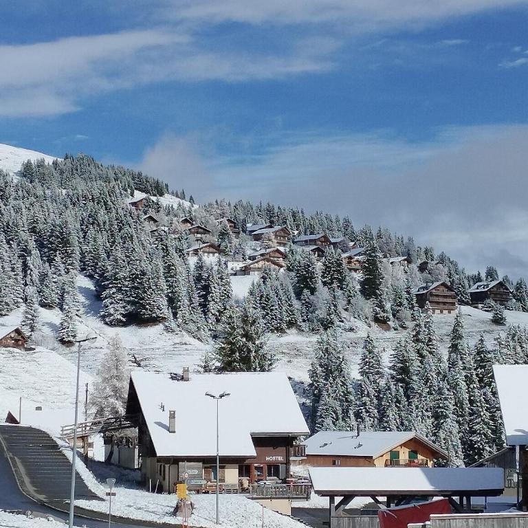 Appartement ski in and ski out - Apartment - 22