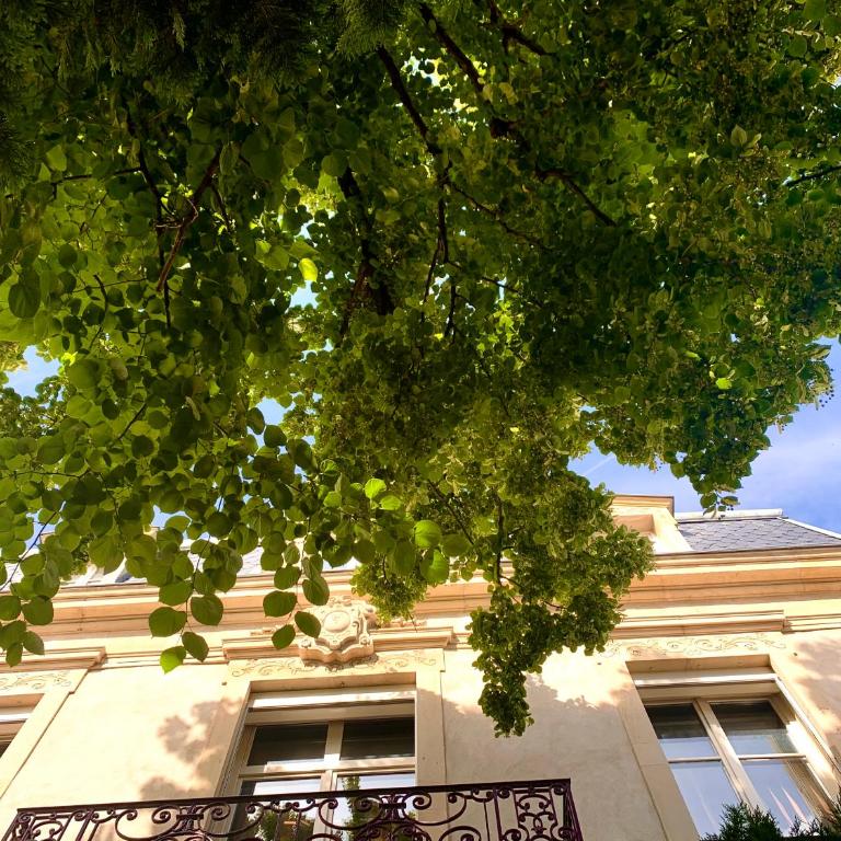 Villa Lepois & Spa 5 étoiles au cœur de Nancy - Villa - 6