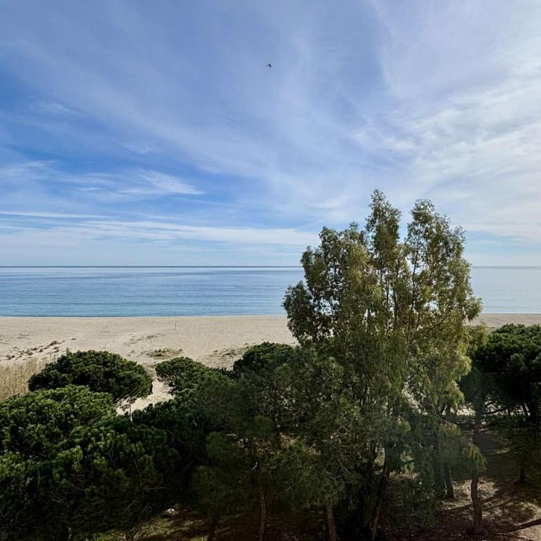 Studio cabine vue mer 4 couchages - AR600-043 - Apartamento - 4