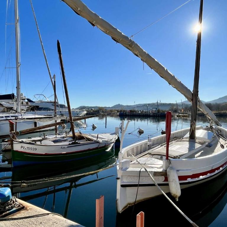 Studio cabine vue mer 4 couchages - AR600-043 - Apartamento - 15