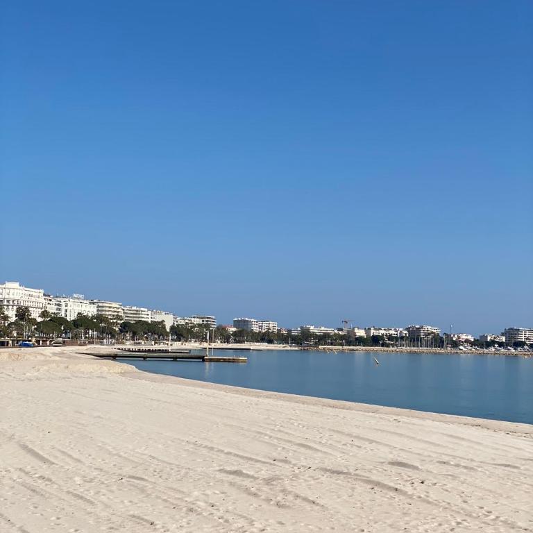 Cocon Bohème Cannes Croisette-Palais-Plages 200m - Appartement 2 Chambres - 19