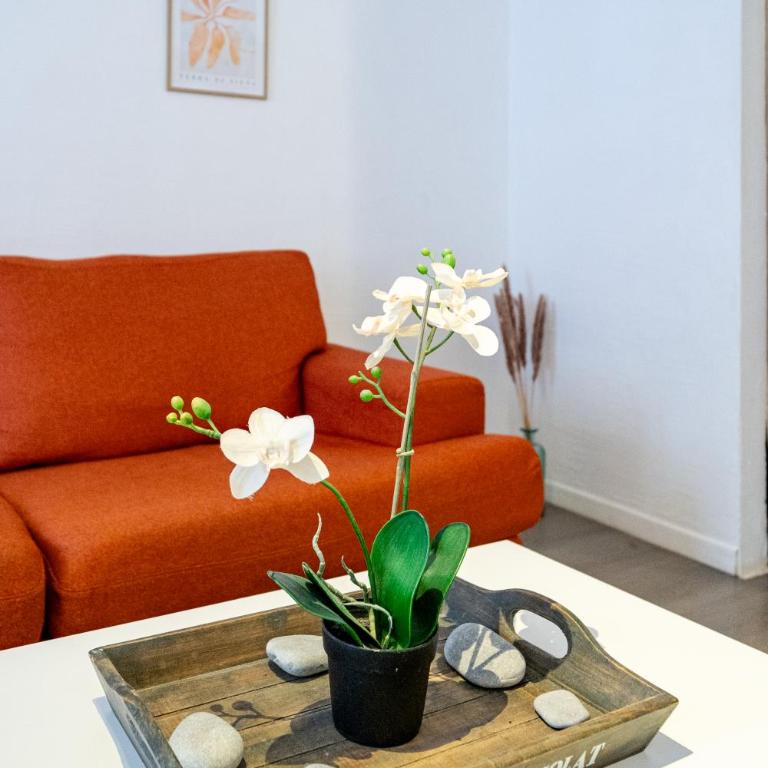 Vieux-Nice 2P climatisé Balcon - Appartement 2 Chambres - 2