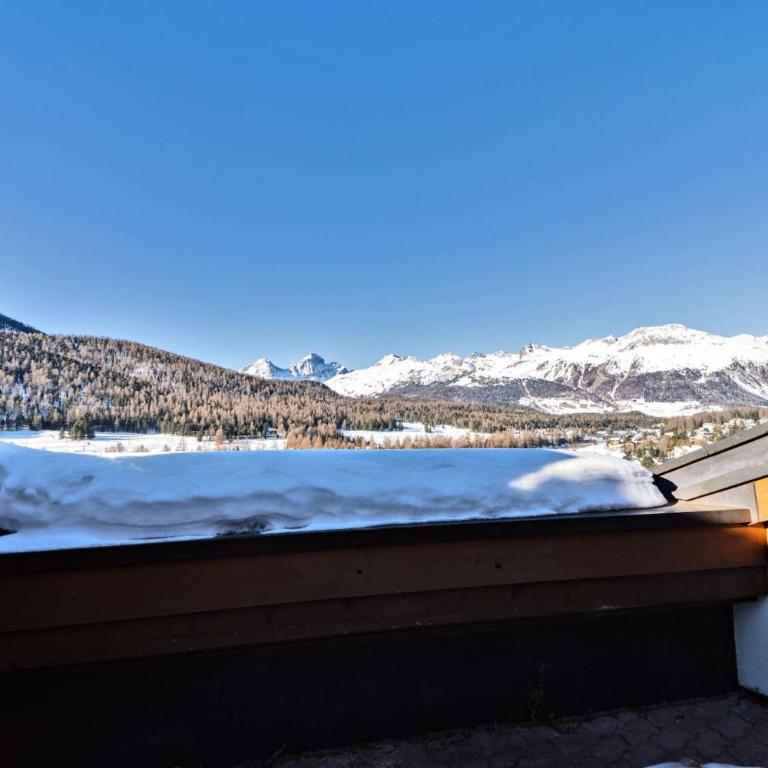 Chesa Pitz Alv - Pontresina - Penthouse-Apartment - 12