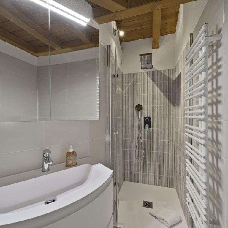 Chesa Pitz Alv - Pontresina - Penthouse-Apartment - 10