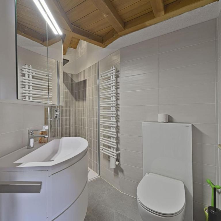 Chesa Pitz Alv - Pontresina - Penthouse-Apartment - 11