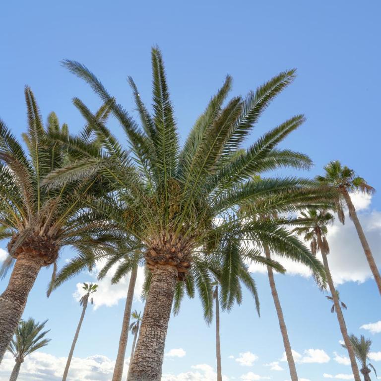 Playa Flamingo Margarita - One-Bedroom Apartment - 31